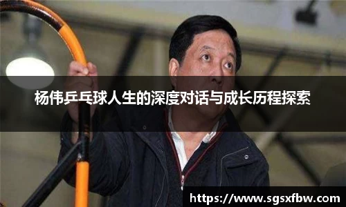 杨伟乒乓球人生的深度对话与成长历程探索
