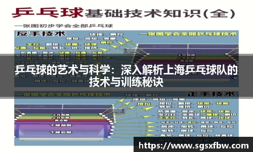乒乓球的艺术与科学：深入解析上海乒乓球队的技术与训练秘诀