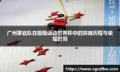 365完美体育官网