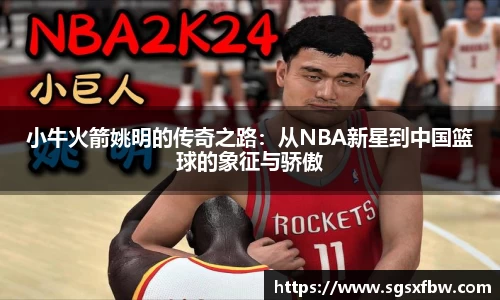完美体育登录入口
