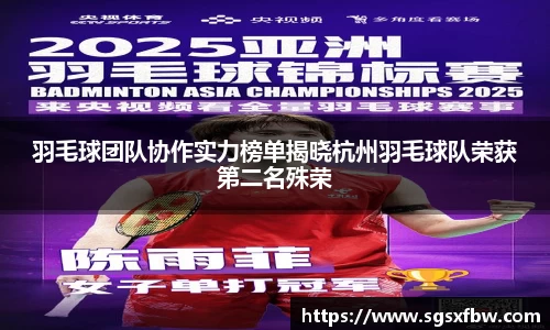羽毛球团队协作实力榜单揭晓杭州羽毛球队荣获第二名殊荣