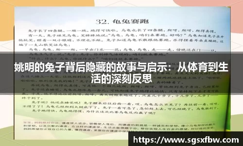 姚明的兔子背后隐藏的故事与启示：从体育到生活的深刻反思
