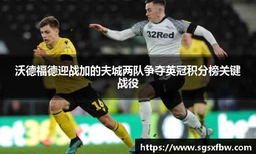 完美体育登录入口