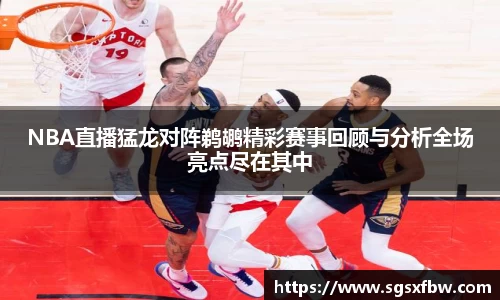完美体育登录入口