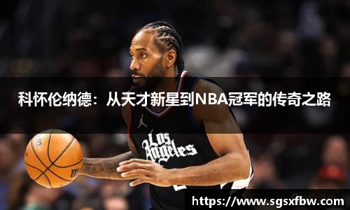 完美体育登录入口